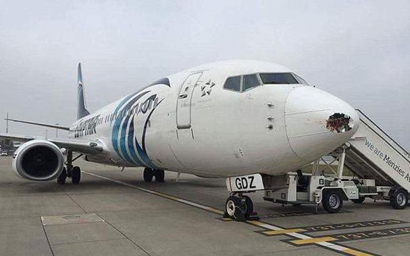 埃及航空一客机头部被鸟撞出大洞