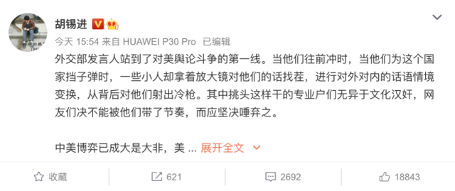胡锡进:那些人,无异于文化汉奸!